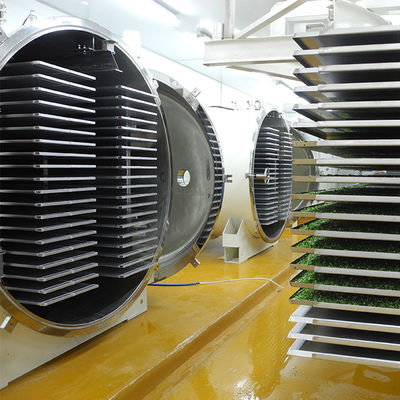 Máquina automática multifuncional de la liofilización 500kg
