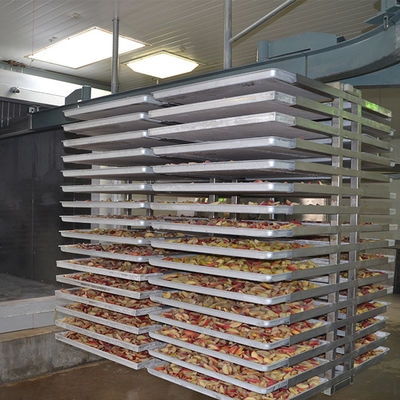 Máquina automática multifuncional de la liofilización 500kg