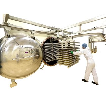 máquina de la liofilización 1000kg