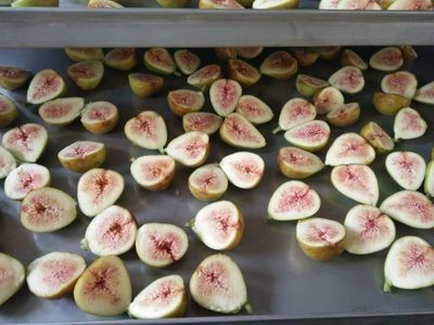 Máquina de fruta liofilizada industrial del acero inoxidable del vacío