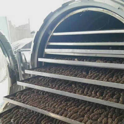 Máquina de fruta liofilizada industrial del acero inoxidable del vacío