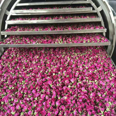 Máquina de fruta liofilizada industrial del acero inoxidable del vacío