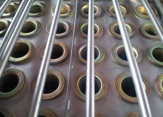 Máquina horizontal del secador de la cama flúida