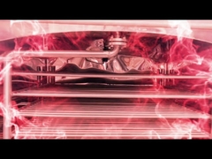 Máquina de secado de bandejas al vacío